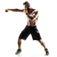 Бокс и единоборства