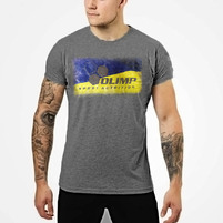 Мужская футболка Olimp, серая - L