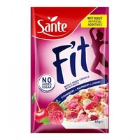 Замінник харчування GoOn Sante Fit , 45 грам