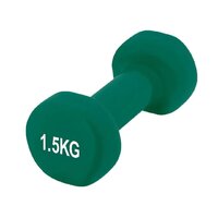 Гантель виниловая PowerPlay 4125 Achilles Green, 1.5 кг