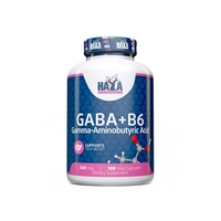 Аминокислота Haya Labs Gaba + B6, 100 вегакапсул