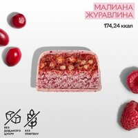 Батончик SpaceFood Space Bite Protein Bar, 45 грамм, малина клюква