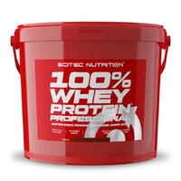 Протеїн Scitec 100% Whey Protein Professional, 5 кг