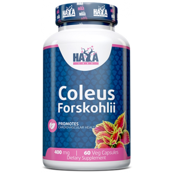 Натуральна добавка Haya Labs Coleus Forskohlii 400 mg, 60 вегакапсул