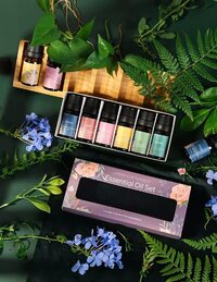 Эфирное масло Kinscoter Essential Oil Set 6 bottles, 6*10 мл