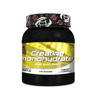 Креатин AllSports Labs Creatine Monohydrate, 500 грамм