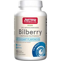 Натуральная добавка Jarrow Formulas Bilberry + Grapeskin Polyphenols, 120 вегакапсул