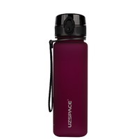 Бутылка UZspace Colorful Frosted 3026, 500 мл, Bordo