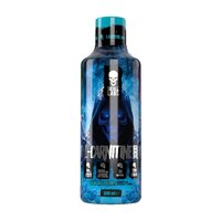 Жиросжигатель Skull Labs L-Carnitine 3000, 500 мл