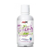 Жиросжигатель Amix Nutrition CarniLine 2000 mg, 480 мл